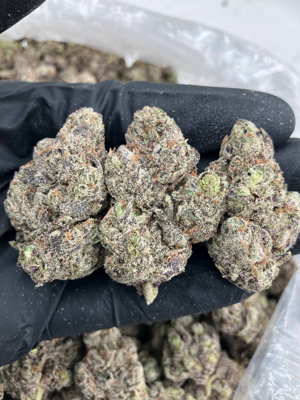 Berry Skittlez 🍇