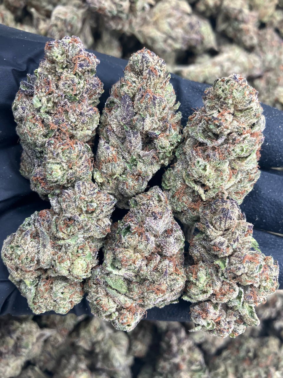 Crumble Smash😼