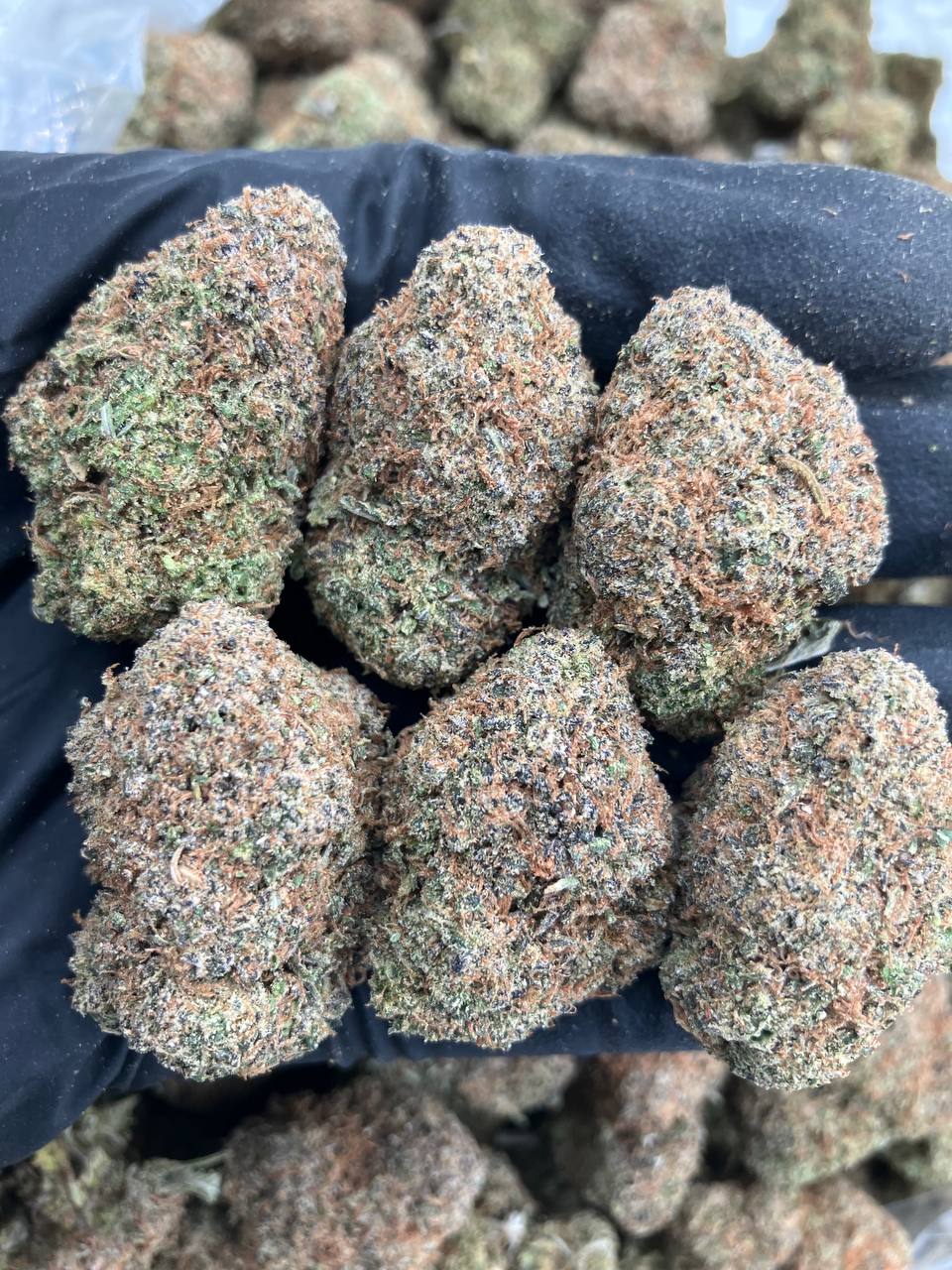 Mochi Gelato 🍡