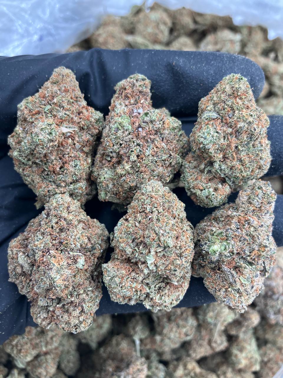 OG Platinum 🪩