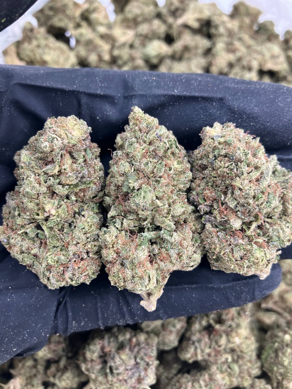 Pink Jolly Ranchers 🌸