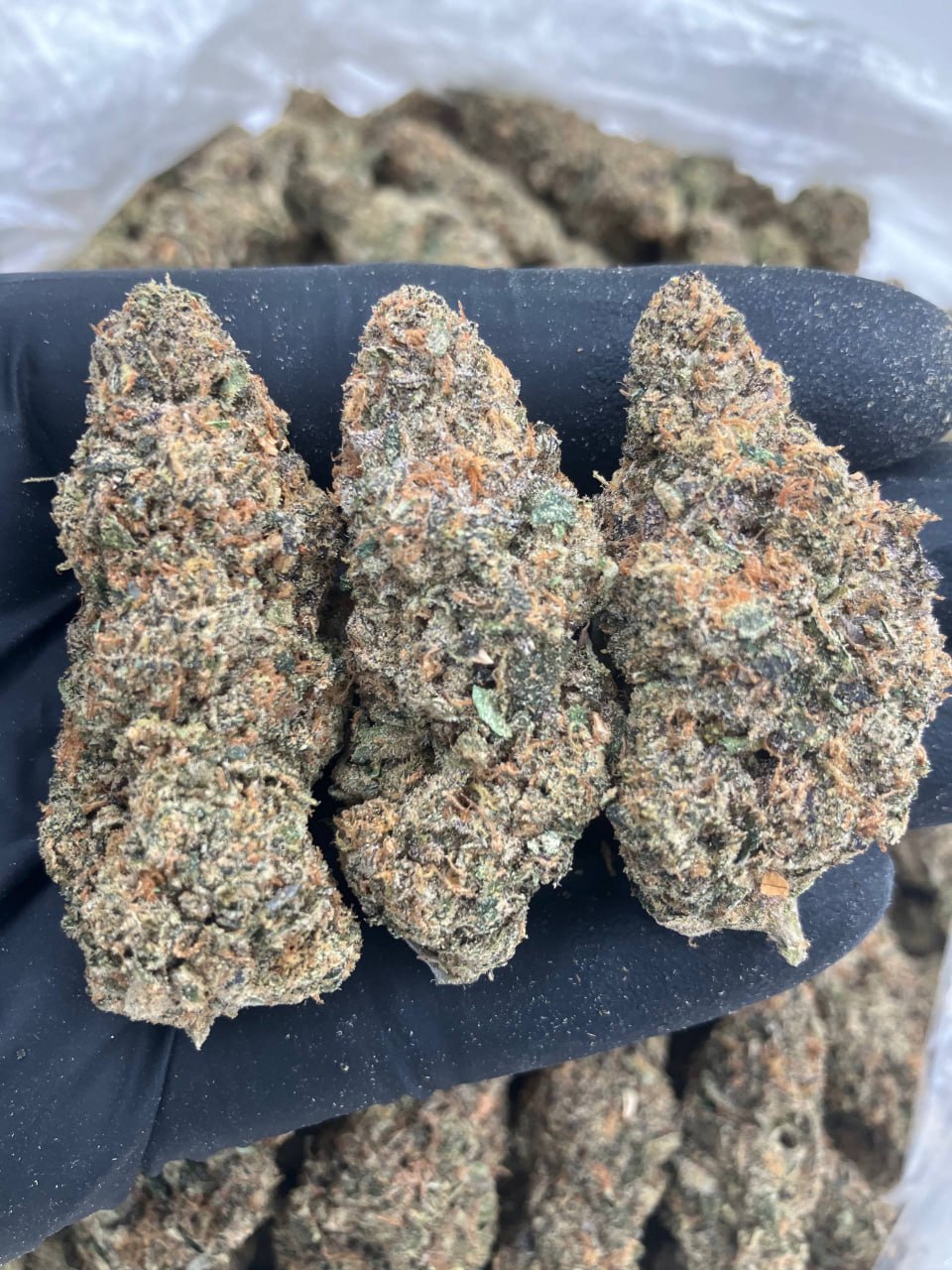 Zour Strawberries 🍓