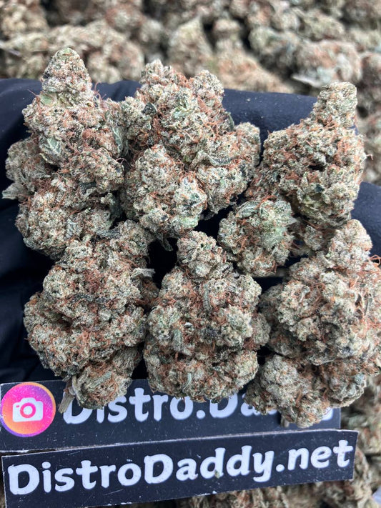 Krazy Glue🤪