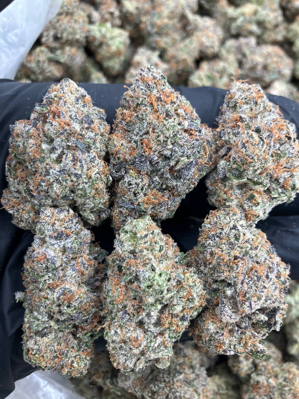 LA Kush Cake