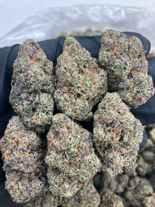 Acai Gelato x Blowpop