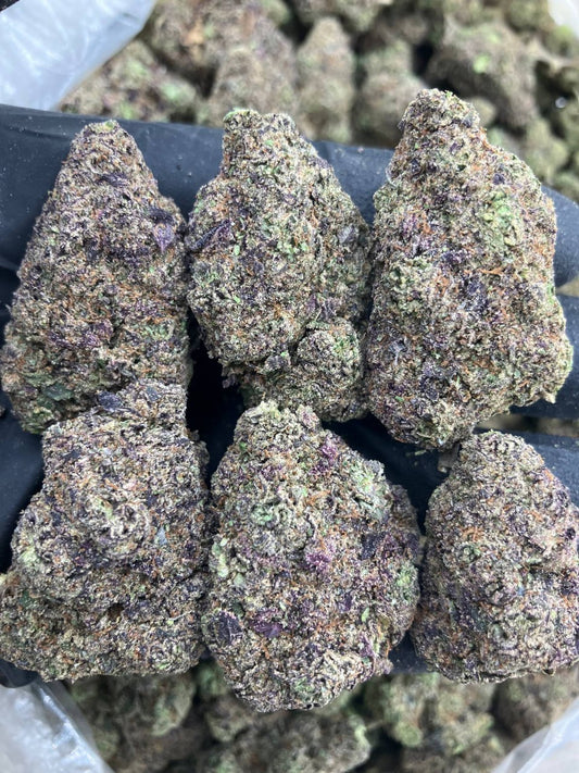 Acai Berry Gelato 🥥