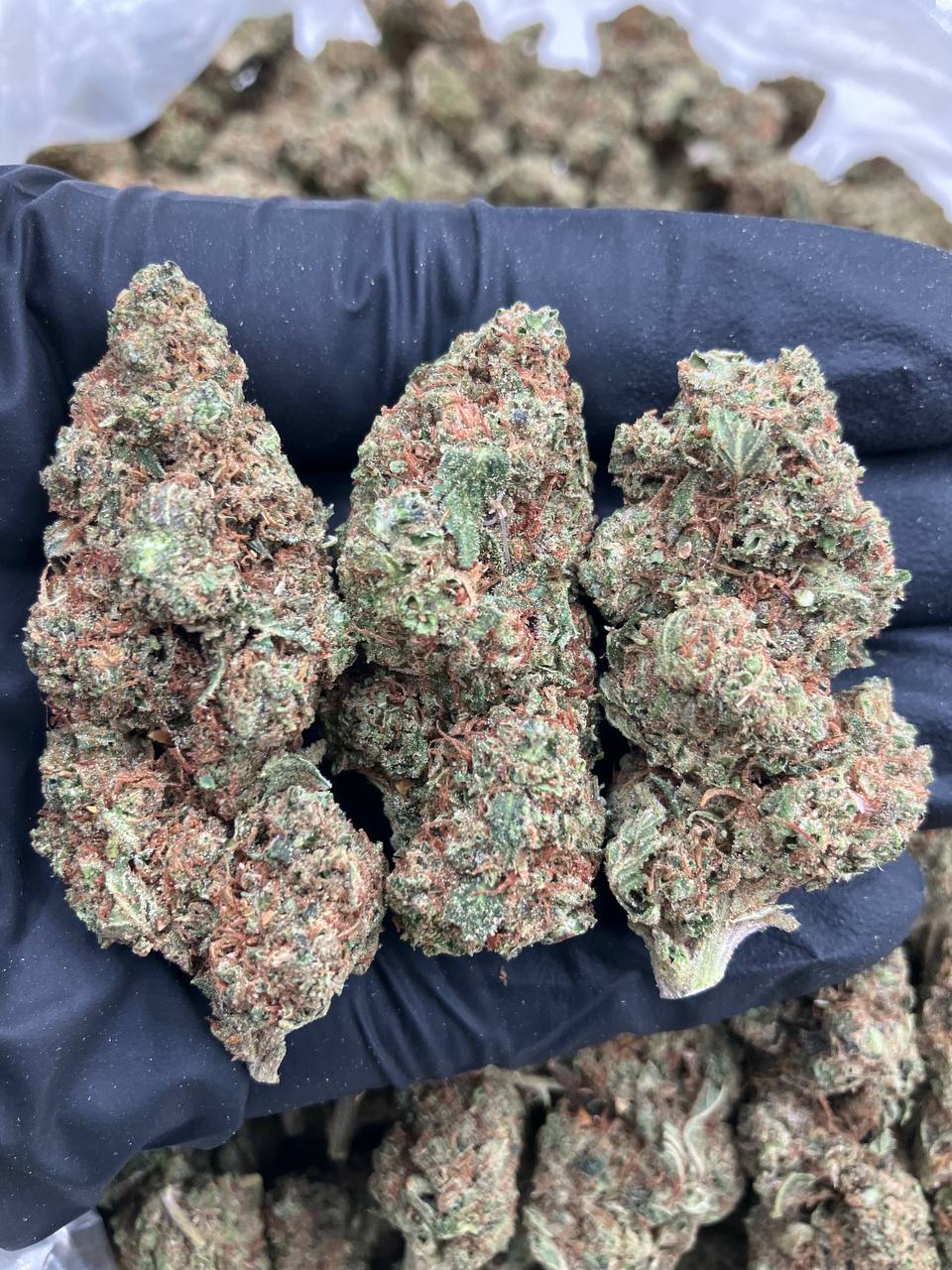 Banana Crush