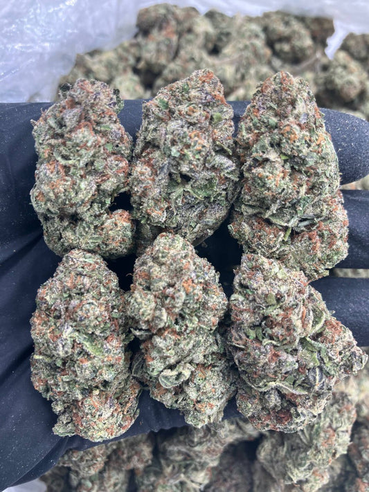 Blue Cookies 🍪
