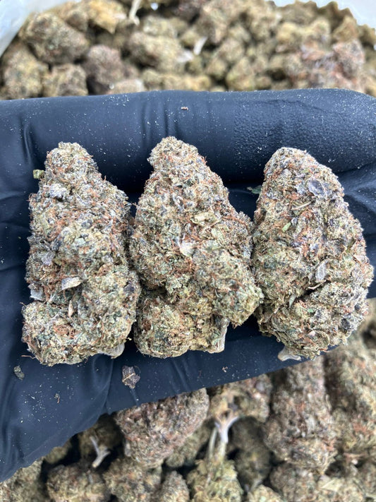 Blue Candy Gelato🧿