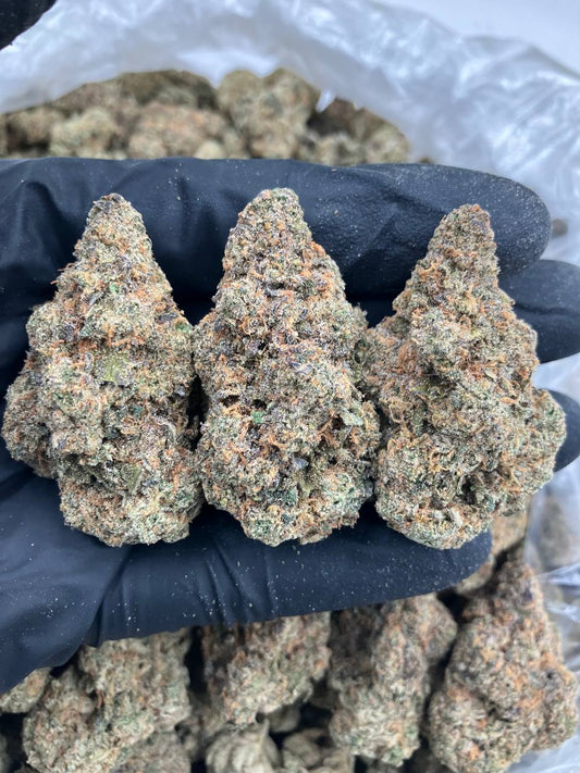 Blue Froot 🔵