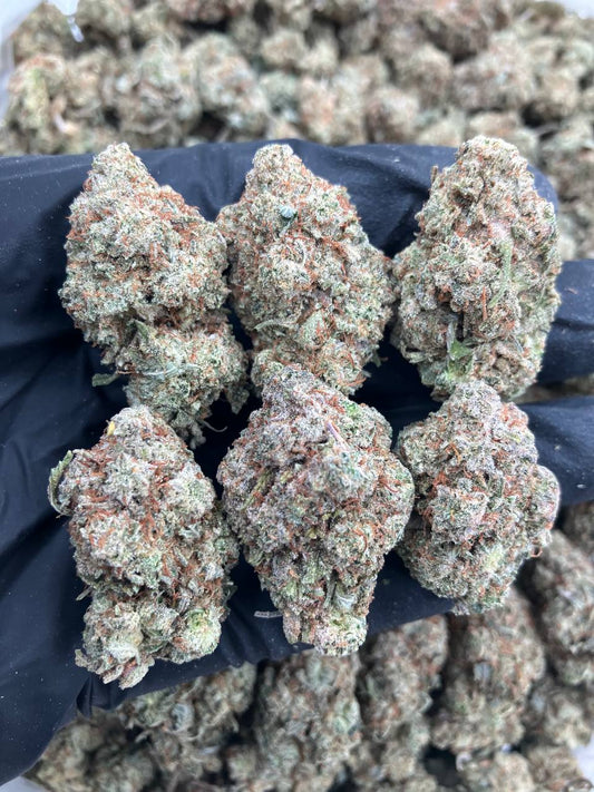 Bosch Glue 🦍