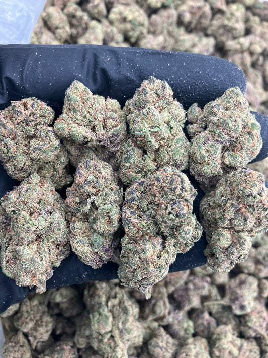 Blue Gusher Runtz 🫐