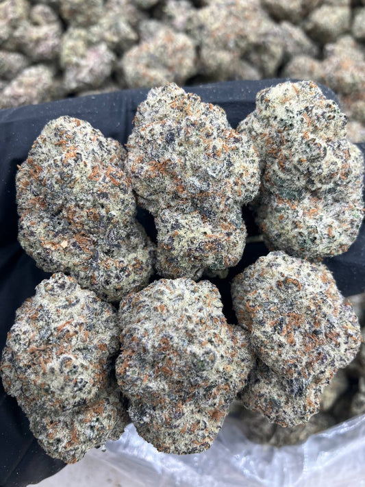 Biscoff Creampie 🍨