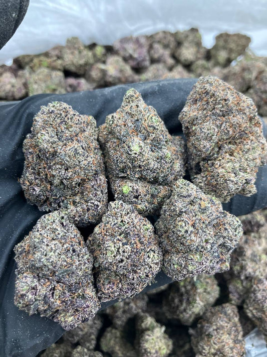 Black Cherry Sherbert 🍒