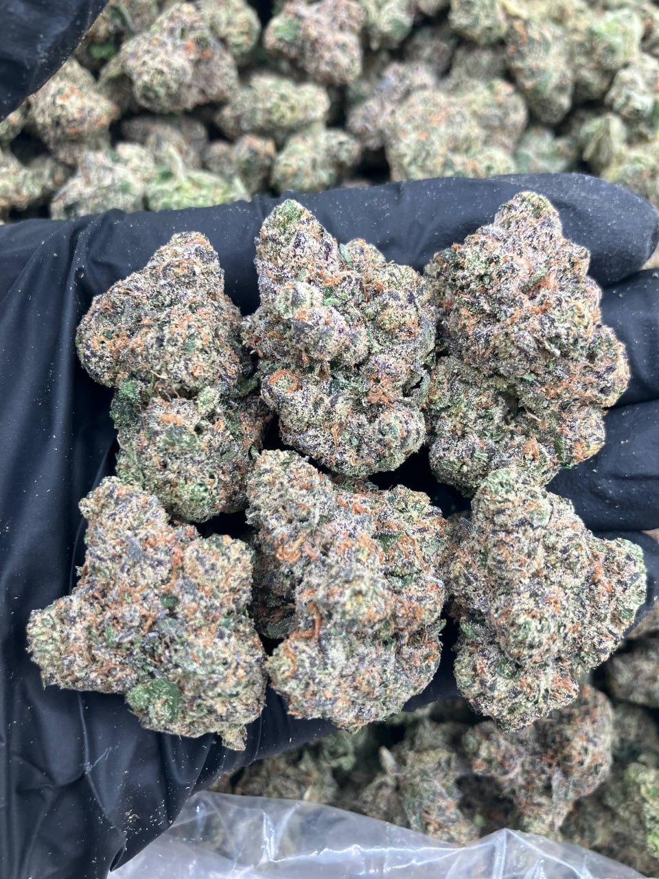 Blowpop Gelato