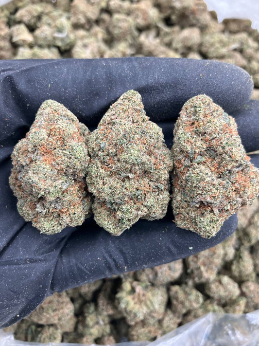 Blue Flame OG 🪼