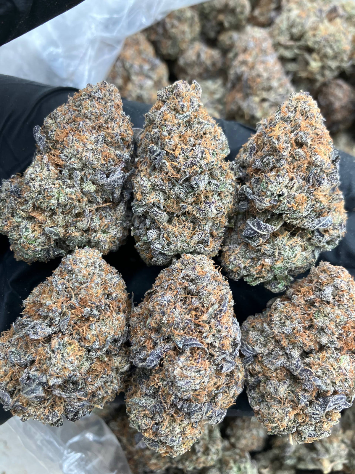 Blueberry Cheesecake