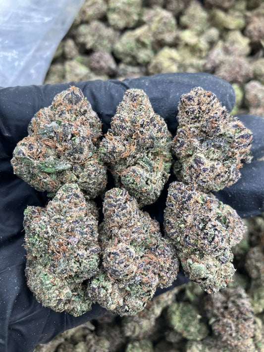 Blueberry Octane