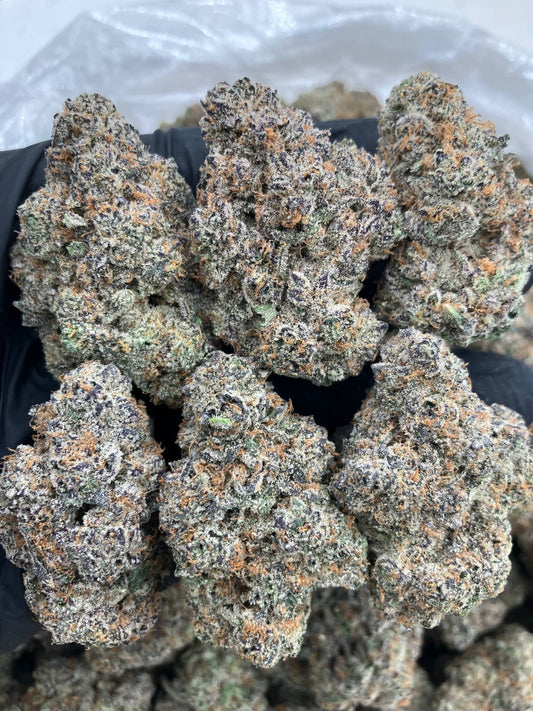 Blueberry Shortcake