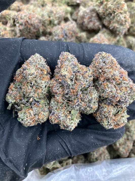 Blue Chew Gelato