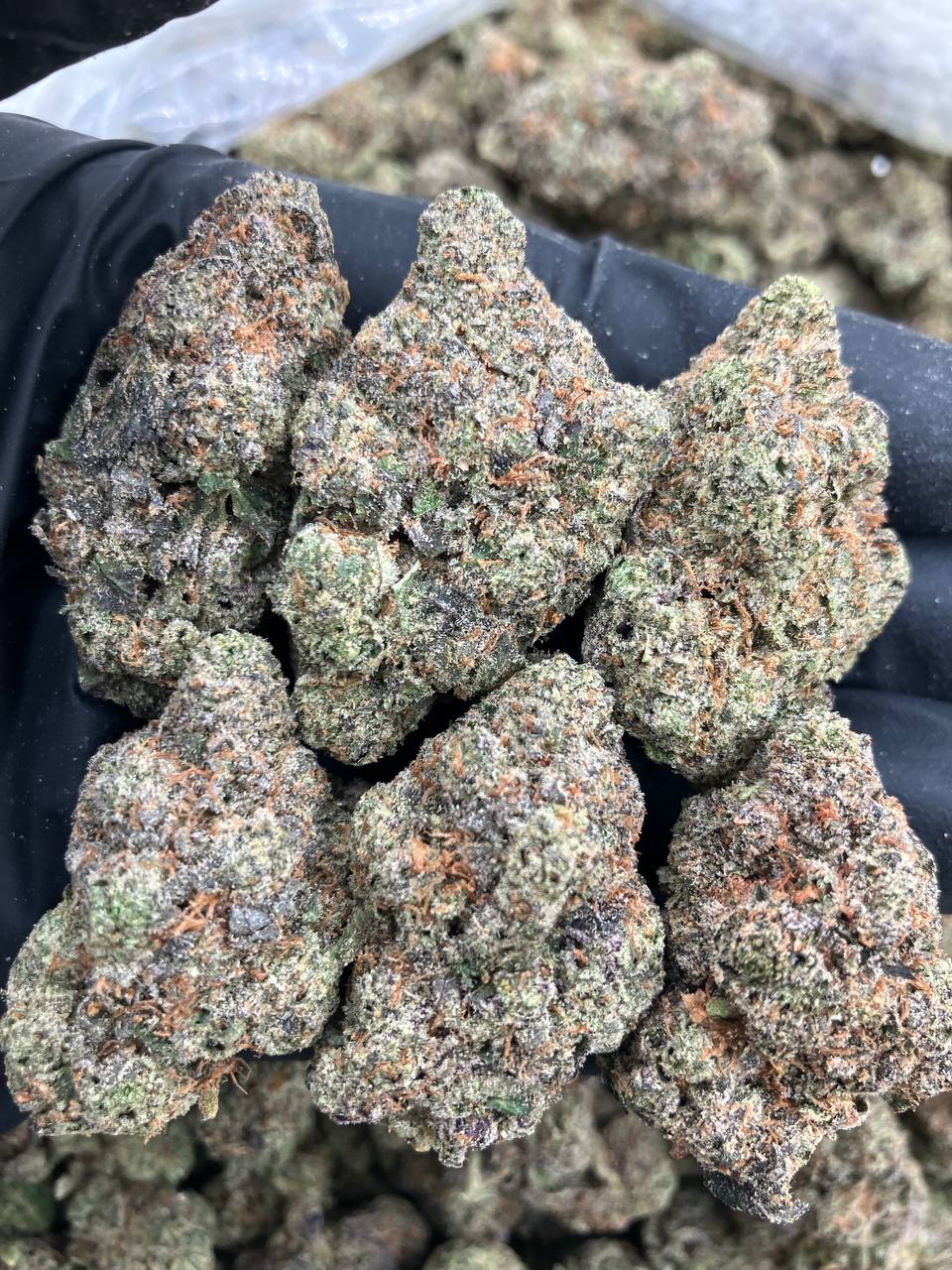 Blue Gushers