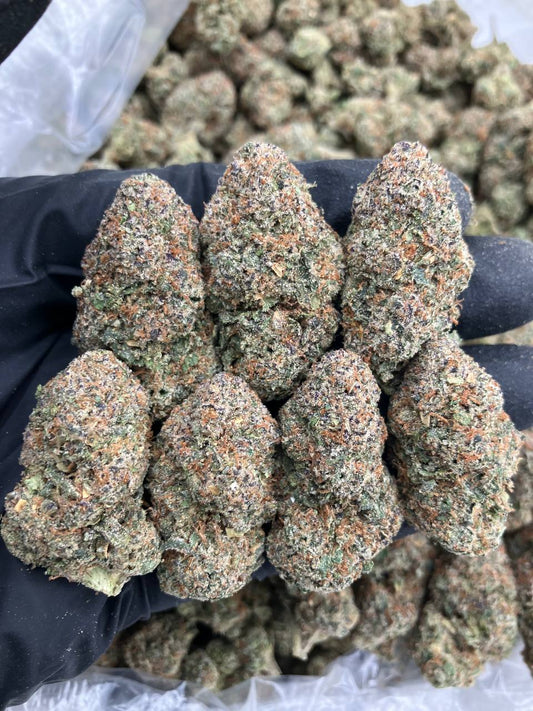 Blue Zlurpie 🦋
