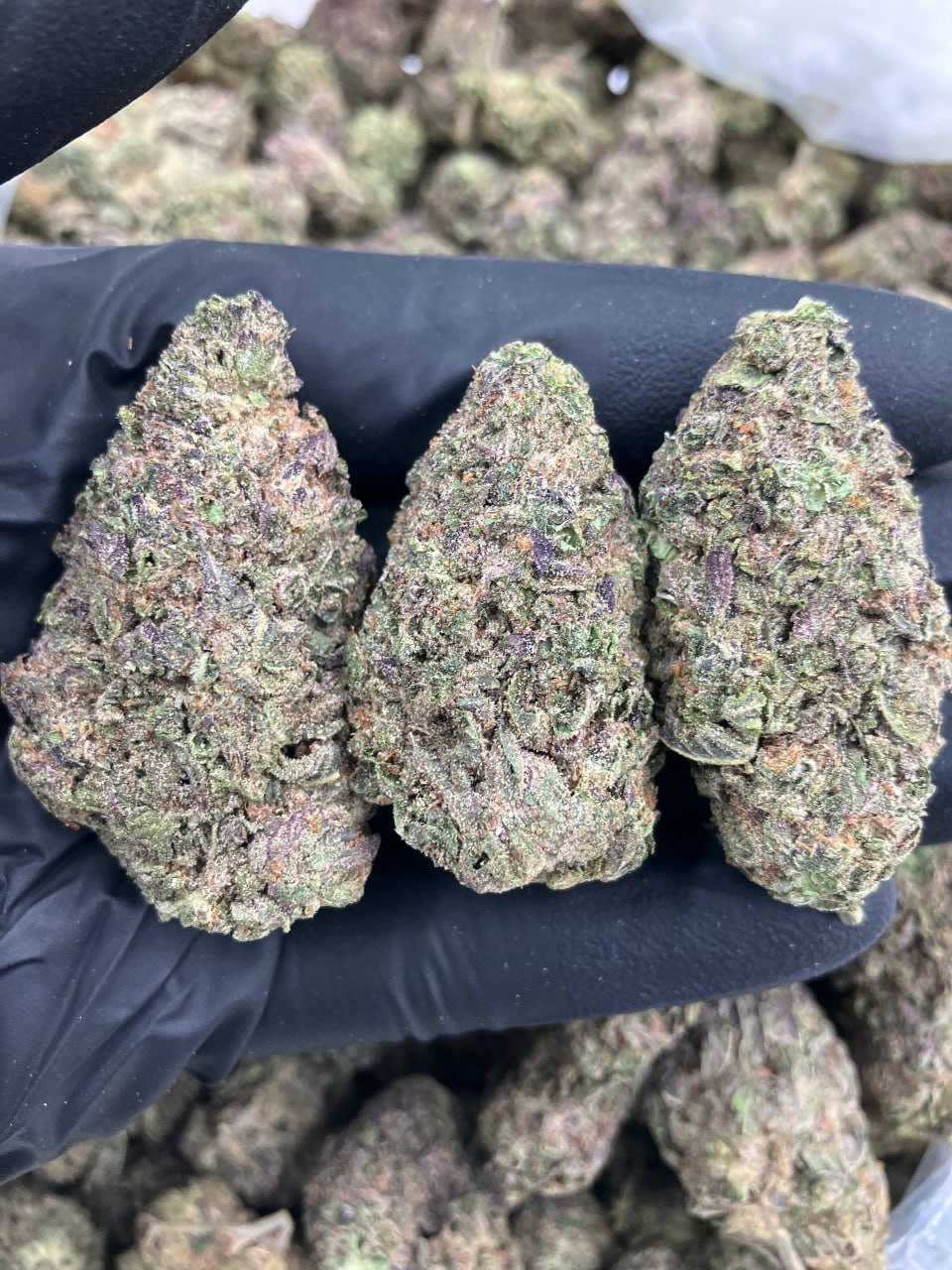 Blueberry Yumyums 😁