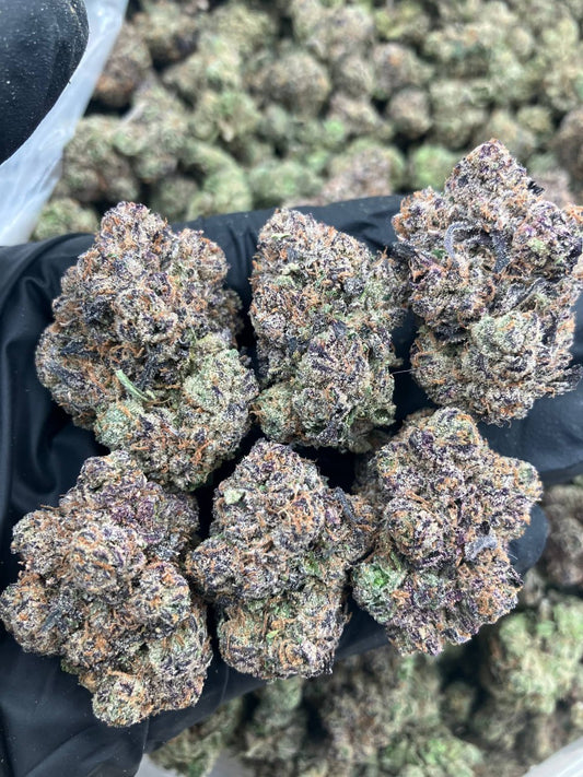 Candy Runtz