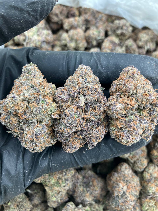 Candy Runtz x LCG