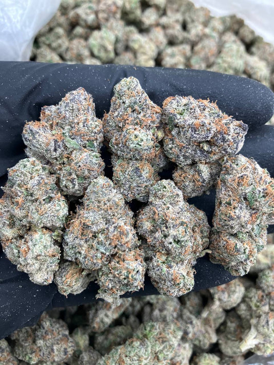 Coldstone x Candy 🥶