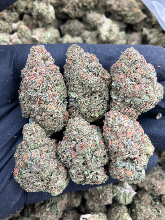 Candy Fever 🤒