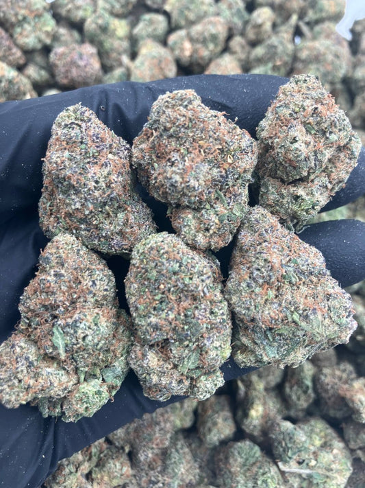 Cold Fire Gelato ❄️