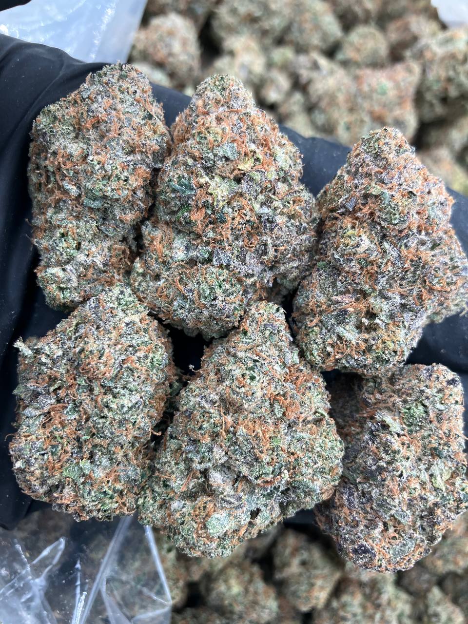 Cherry Lime Runtz