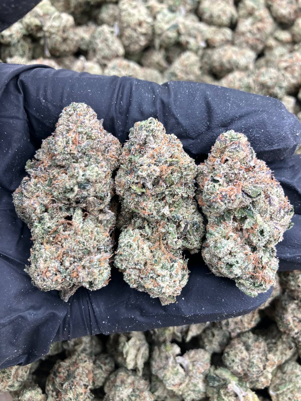 Chrome Heart Candy