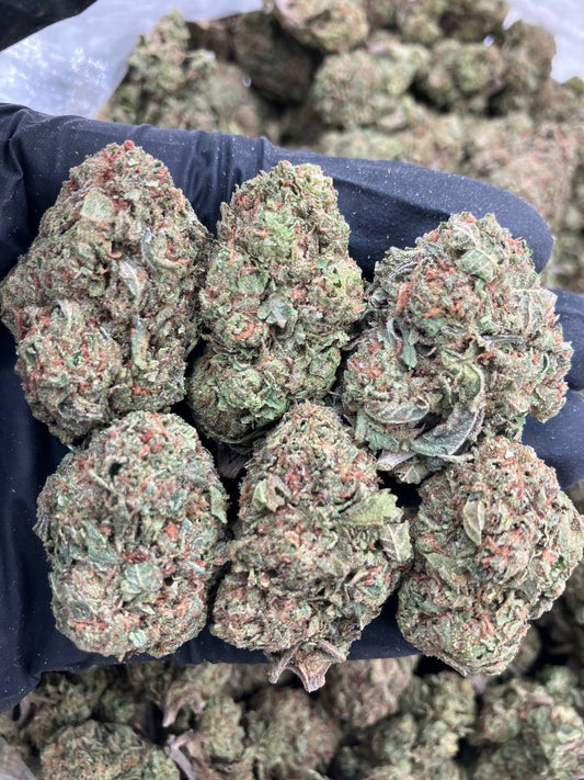 Citric Sherbert