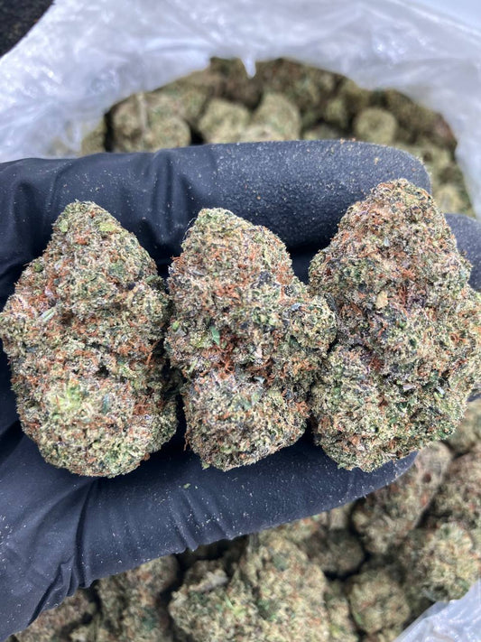 Clementine OG 🧡