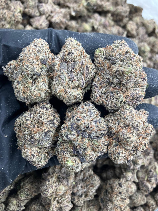 Cherry Nerds 👓