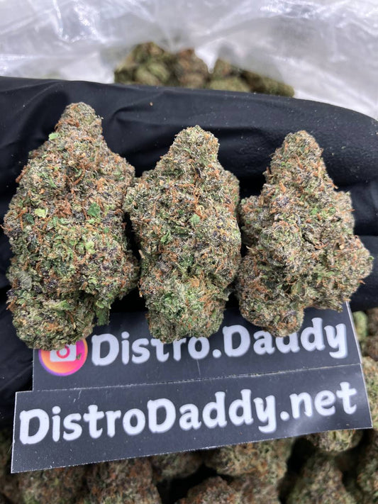 Purple Continental⛪️