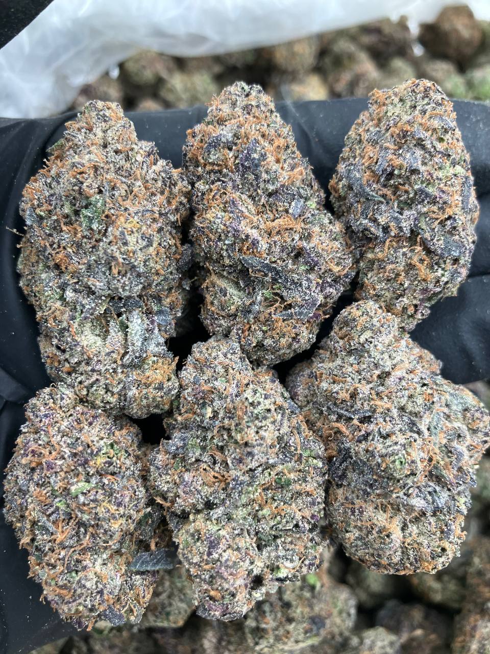 Cosmic Blue Candy