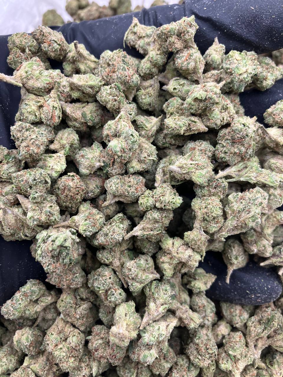 Cotton Candy Smalls