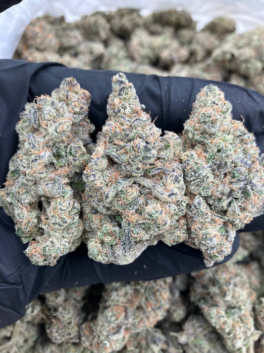 Cream Faygo x ICC