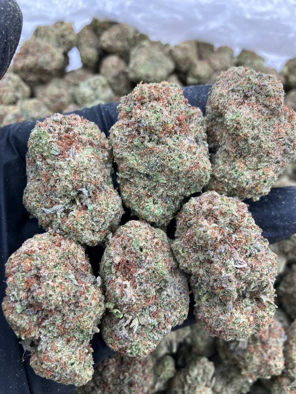Crumble Cake