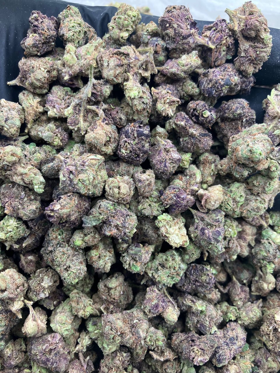 Crystal Candy (Indoor Smalls)