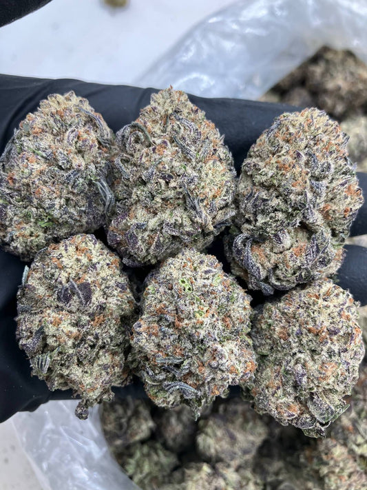 Dutch Cheesecake 🧀