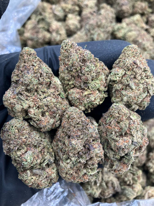 Dutch Cheese Cake🧀