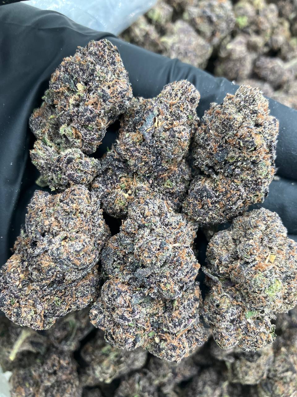 Dirty Sprite