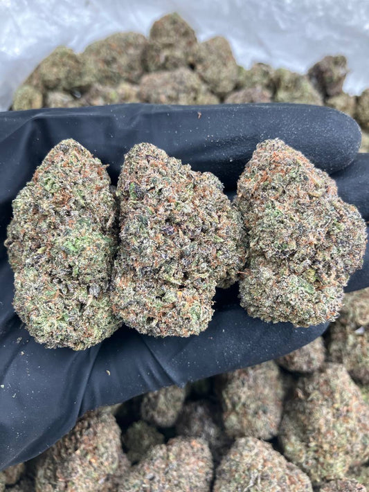 Dragon Fruit Gelato 🐉