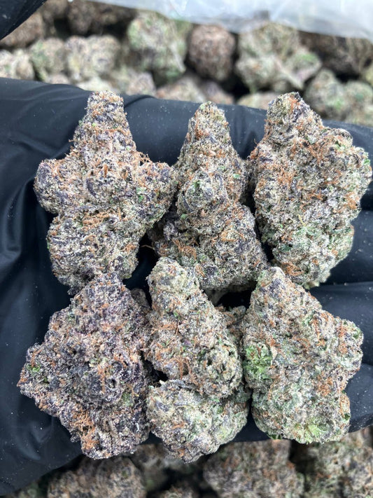 Dragon Fruit Gelato