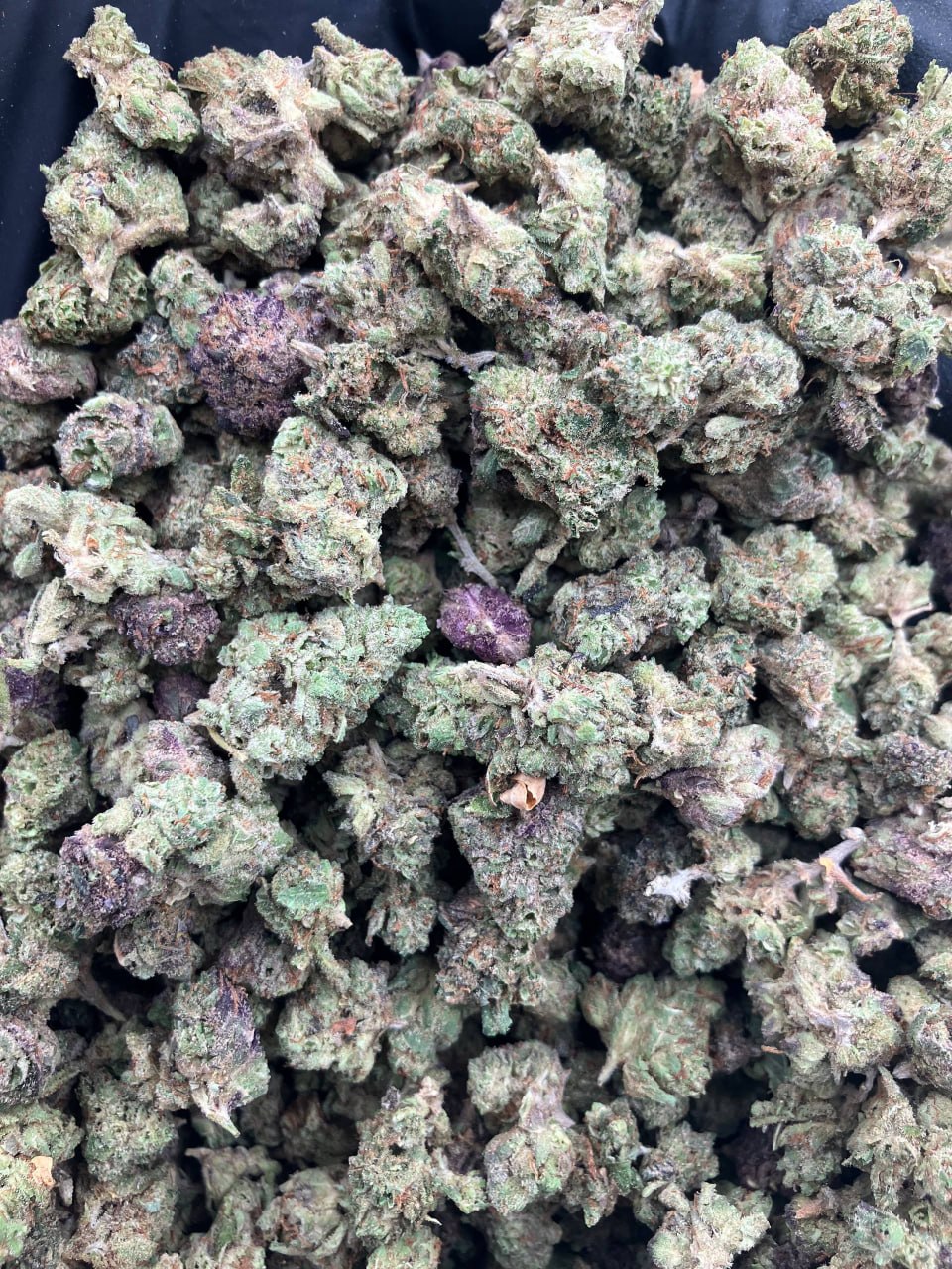 Dulce Gelato Smalls