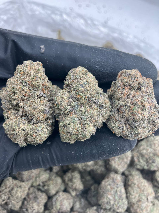 Dutch Cheese x Soufflé🧀
